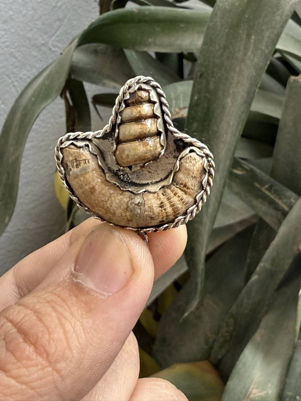 السلام عليكمً/ عرج سويحلي مع لوي 
فول تكوين رواحاني 
يوجد توصيل لجميعً المحافضات
***********واتس
