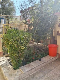 ديكور بيت • حديقة • اعمالنا