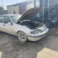 تفصيخ • ابرنسات • بابل اجبله