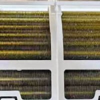 سبلت • طن ونص • توسوت