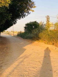 ٢٥ دونم • سند • واجهة ٢٠م