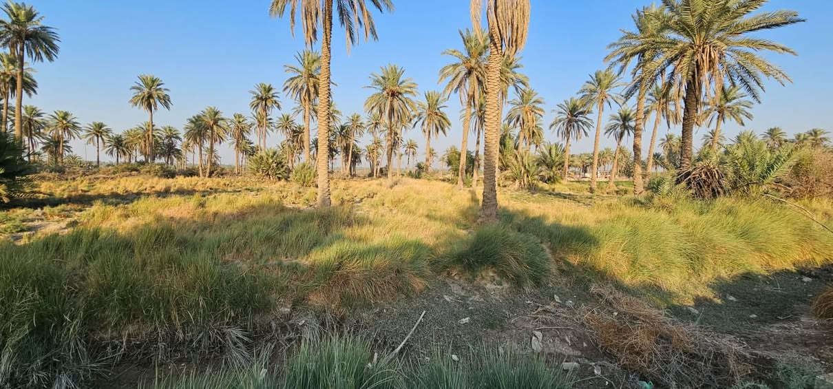 السلام عليكم 🤝

(2)دونم و800 متر للبيع طابو زراعي تحويل مباشر ✅✅✅

على تبليط مباشر 🛣️🛣️🛣️

موقع مميز ومرتب 💯💯💯

العنوان كربلاء منطقه الجدار  تبعد عن الشارع النجف تقريبا 2كيلو ونص تقريبا ✅✅✅

عامود 1141 وتنزل ع الارض كلها تبليط 🛣️🛣️🛣️

واجهيه الارض (30) متر ع تبليط مباشر 🛣️🛣️🛣️

كافه الخدمات متوفره كهرباء وماء مدارس منطقه سكنيه 🌆

للأستفسار آكثر الأتصال على أرقآم التأليه 

0️⃣7️⃣7️⃣2️⃣5️⃣9️⃣8️⃣1️⃣9️⃣4️⃣5️⃣ابو باقر
0️⃣7️⃣8️⃣0️⃣8️⃣9️⃣9️⃣8️⃣8️⃣1️⃣8️⃣

وكذالك نستقبل جميع العروض لديكم في كافه مناطق كربلاء المقدسه 🏬🏬🏬🏬🏬🏬

