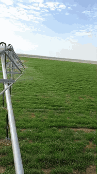 السلام عليكم أرض للبيع قرب سيطرة الحشد على الحج البري المساحه ٤٠٠ دونم بيها ثلاث مرشات محوريه ثنين منصبات ام ٦٠ دونم جاهزات من مولد وبئر وغطاس ومولدات
والمرشه ام ٨٠ ما منصبه بعدها ومرشتها موجوده
للاستفسار *********** النجف غير متواجد عله الفيس اخوني عقد كامل حته خطه مال زراعه كامل هايه السنه
