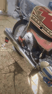 دراجتين • بدون وراق • فراشه كوري