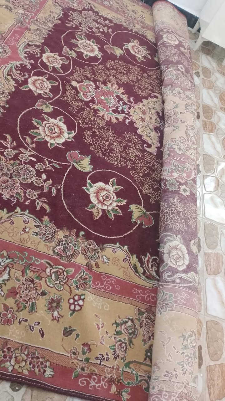 زوليه 3 في 4 ايراني سعرها ب/50/ ومداد 2 نفس الشكل الطول 4 امتار.  السعر الوحده ب20 المكان حي ميسان.         رقم مبايل/*********** النجف, العراق
