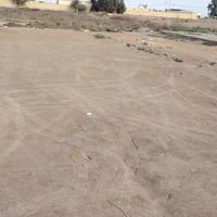 ٣٠٠م • مجسر عبدالله ابن علي • طابو سند ٢٥