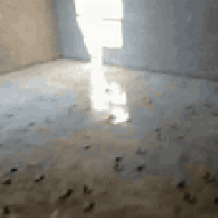 خلفه سيراميك والباخ وابياض واشتاكير وشغل مرمر وكرانيت والواح بورسلين و...