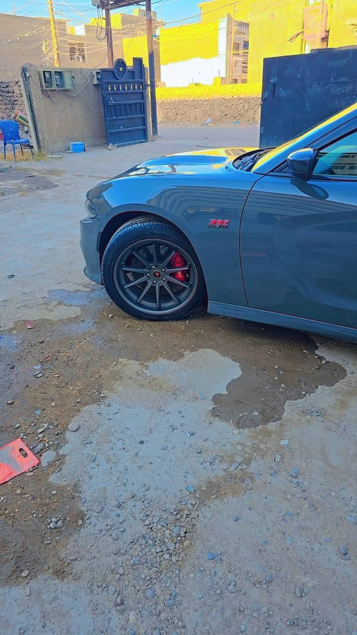 سلام عليكم
جارجر سكات باك SRT

موديل 2019 اصل فول

رقم بغداد دولي بسمي تحويل ثاني يوم

هزه ورقام كله جديد سنويه 31

مغلفه نانو كامل سياره ستوك ماشيه 41 

 حادث مرفق بصوره ولمواصفات لسكات معروفه

سعر 260مجال قليل عنواني بصره 

رقمي ***********
