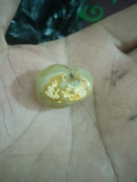 مصورة • شايلة دلوة