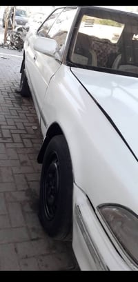 مكفوله • كصيف • رقم بصره