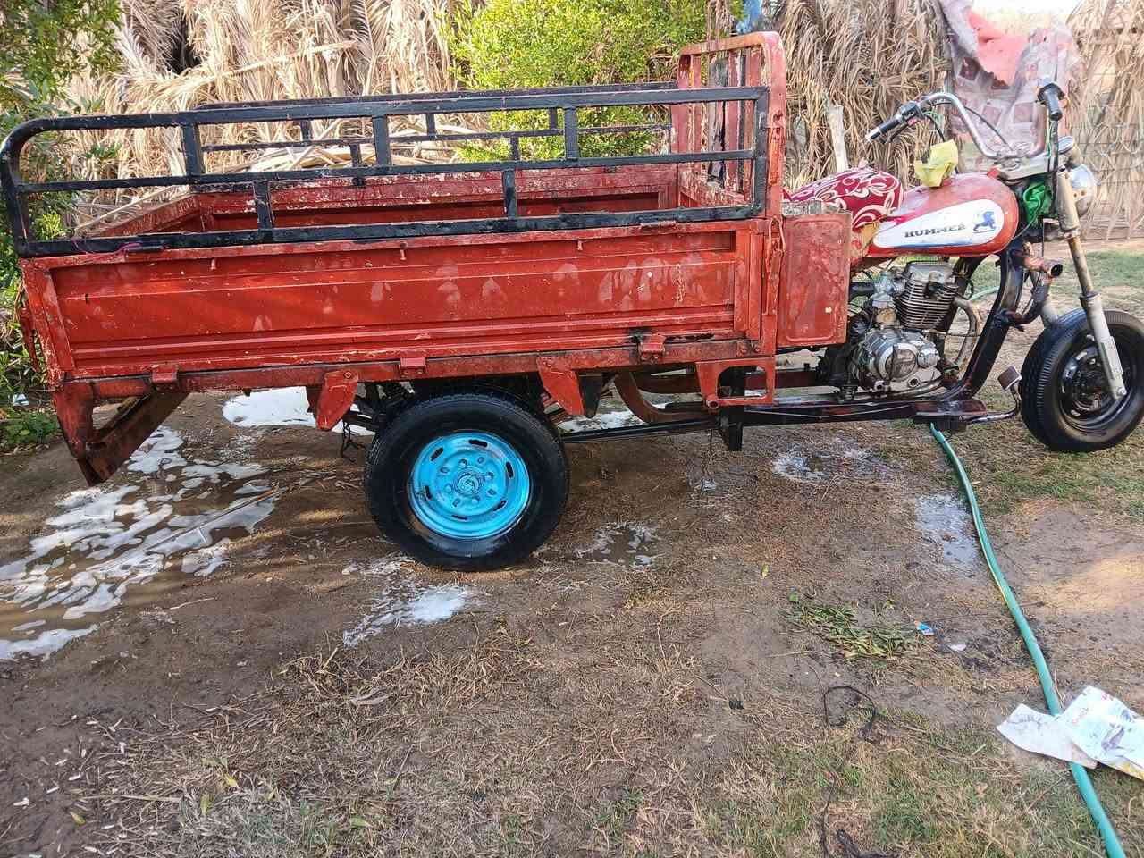 سلام عليكم ستوته البيع ديوان  كلك كلك  مكفولي العنوان صويره تصال عل رقم.  ***********
