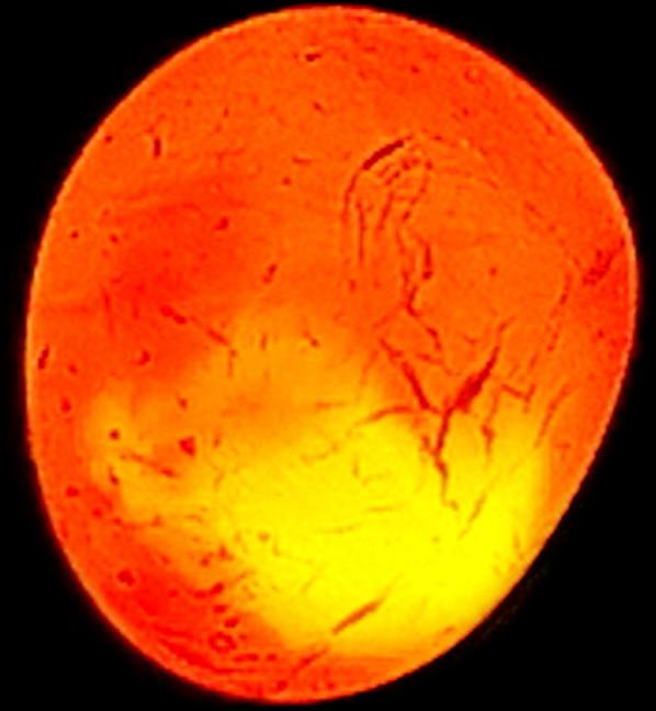 الي يرغب يراسلني خاص


**إذا كنت صاحب هذا الإعلان وتريد حذفه لأي سبب، رجاءا أرسل رسالة إلى الدعم الفني**