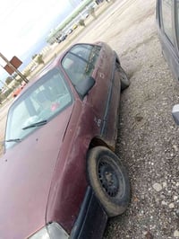 كركوك • رقم ديالى • سنويه