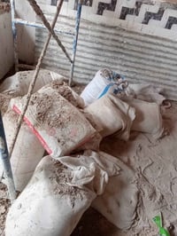 جص زايد • ٨ كواني