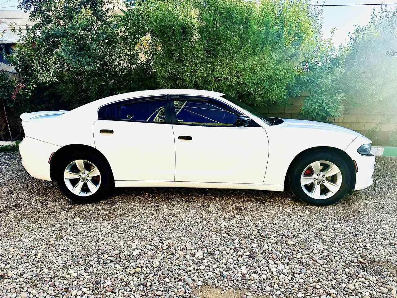 #للبيع ..
جارجر 2015 وارد أمريكي مواصفات SXT 
* بصمة تشغيل و بصمتين أبواب
* تشغيل عن بعد
* كشنات مخمل و كشن السايق كهرباء
* لايتات زنون
* تحكم ستيرن جهتين
* مثبت سرعة
* شاشة كبيرة أندرويد
* أضائة كاملة فول LED
* حساسات خلفية
* كاميره دوارة
* تبريد خلفي 
* شواحن خلفية 
*سستم كماليات كامل خارج وداخل 

السيارة كلين مكفولة من الحادث والتبديل محرك 6سلندر 3600 رقم اربيل بأسمي شرط التحويل ماشية 114 الف ميل محرك وكير شرط وما مشتغلة خط سيارة نظيفة السعر 210 وبيه مجال  

الأتصال *********** _
