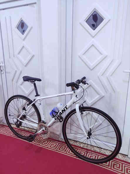 السلام عليكم 

دراجه ماركة #GIANT_ESCAPE  جيانت اسكيپ العالميه ماركه 

غنيه عن التعريف صنع اصلي اورجنال MADE IN JAPAN🇯🇵

لون مميز أبيض ثلجي مطعم باسود ميتاليك 

حجم 28 (C700) فوول ألمنيوم خفيف جدآ فول انسيابي وسرعة

لشه مضلع موديل حديث ...سستم شيمانو كامل سيت شيمانو 

آلتوس #SHIMANO_ALTUS ...بدالات السرعه 8X3 سحب دفع

#شاشه_حديث ....بريكات V_BRAKE بالمكان حتى الفحمات 

مختوم تيكترو TEKTRO ...وياله زووم طبقتين مختوم GIANT

مصصمة لتحمل الاوزان الثقيلة والطسات #DOUBLE_WALL

تايرات كتان اصليه  مختومه #KENDA ...سرج طبي اصلي 

ستيرن نفخ حديث ستانس...كامبليونات سلايت وياله وسرج 

وبالحقيقه احلى من الصور بهواي بلأخص اللون 🔴

🔴الدراجة قطعه مال حاوية غير مستخدمه داخل العراق
     مامبدل بيها برغي على وضع الشركه بلاد ..ختم واحد
     ليبل واحد حتى المطارة مختومة #GIANT
      بدون اي نقص كامله وجاهزه 100٪ 

المكان موصل الجانب الايسر....السعر 210 الف (ثابت_نهايتة)

يوجد توصيل بغداد وجميع المحافضات العراقية 

رقمي ***********
