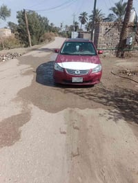 بيوايدي • ٢٠١٣ • سوق الشيوخ
