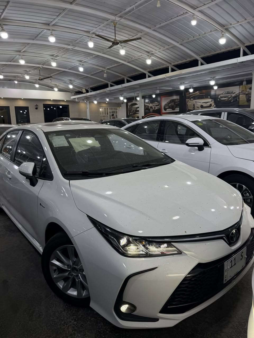 السلام عليكم
تويوتا كورلا هايبرد 2025  شكل الخليجي

زيرو صفر 

مكفولة كفالة عامة  

 فول مواصفات

✅بصمة عدد 2  

✅رادارات

✅لايت زينون

✅بك لايت لد

✅فتحة

✅بصمة عدد 2 

✅ارضيات 

✅كراسي جلد

✅ستيراً جلد

✅تبريد شاشة

✅قطعتين تبريد

✅سايد بريك كهرباء

✅اوتو هولد

✅بلوجكتر

✅مانع نزلاق

✅مانع نحدار

✅دشبول دجتال

مكان السيارة بغداد الكريعات او البنوك  

سعر السيارة : 25 مليون  قفل من الاخير غير قابل للنقاش 

للأسفسار : ***********
