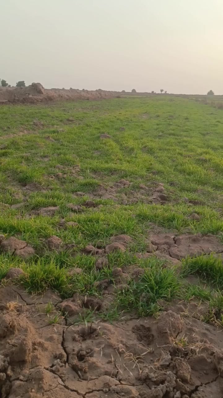 ارض زراعيه 6دوانم باحاوي العباس الرقم***********
