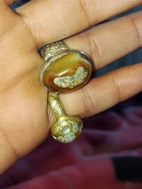 داوودي • فضة • حجم خنصر