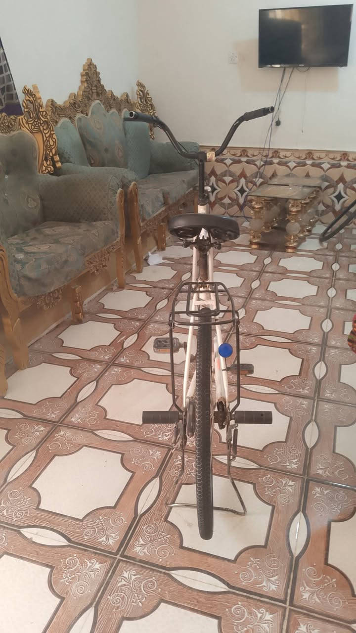السلام عليكم باسكل لبيع حجم 26 السعر 55وبي مجال مكاني ناصرية مركز


**إذا كنت صاحب هذا الإعلان وتريد حذفه لأي سبب، رجاءا أرسل رسالة إلى الدعم الفني**