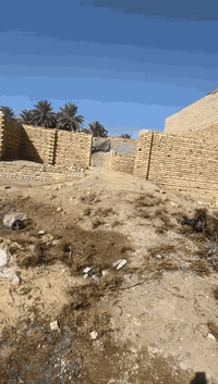 بستان المحامدة • ١٠٠م • مع فيديو