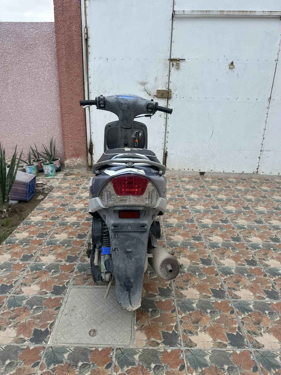 دراجه ماكس منغولي للبيع  مفتوحه ولفات السعر 525 وبيهة مجال المكان ديوانيه


**إذا كنت صاحب هذا الإعلان وتريد حذفه لأي سبب، رجاءا أرسل رسالة إلى الدعم الفني**