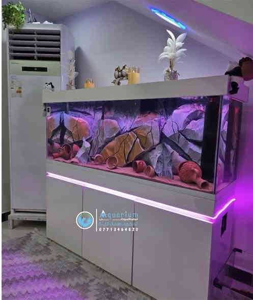 #اناقة . #متانة . #حرفية بالتصميم . #ضمان …. 

تصميم حوض متر ونص نظام فلترة احترافي السامب العملاق يغنيك عن تنظيف الحوض المستمر .. مع كابينة ضد العفن والرطوبة .. مع ديكور على شكل صخور بيئة ملائمة لسمكة السيكليد الافريقي تصميم معملنا المنفرد بصناعة ديكورات الصخرية والحجرية داخل العراق من الفوم والفلين  .. معنا دائما تكون مميز 🤗
………….
👇👇👇👇👇👇👇👇👇 

للحجز او الطلب او معرفة السعر وباقي التفاصيل  والموديلات راسلنا على الواتس اب  ..
للتواصل واتس اب 
***********
👇👇👇👇👇
رابط الواتس اب 
https://wa.me/message/HGVGA73WBKX7N1
رابط التيك توك
https://www.tiktok.com/@osamaalsudane?_t=8nKrZkRPojB&_r=1
رابط الفيس بك
https://www.facebook.com/profile.php?id=61560275963976&mibextid=LQQJ4d

🔴🔴🔴🔥🔥🔥🔥🔴🔴🔴🔴🔴

#جيروز #مستلزمات_احواض 
#احواض_زينة
 #اسماك_زينة
#ديكور_احواض #عالم_الاسماك #نباتات_مائية
#فلتر_احواض #إضاءة_RGB #إضاءة_احواض
#هواة_الاسماك #تنسيق_احواض #تجهيز_احواض
#اسماك_ملونه #محبي_الاسماك
‏ #AquariumSupplies
‏#FishTankSetup #Aquascaping #RGBLighting
‏#AquariumGear #TropicalFish #PlantedAquarium
‏#FreshwaterAquarium #AquariumAddict #AquariumLovers
‏#Jeros #AquariumLife
