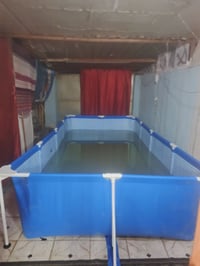 مسبح • السماوه • خاص