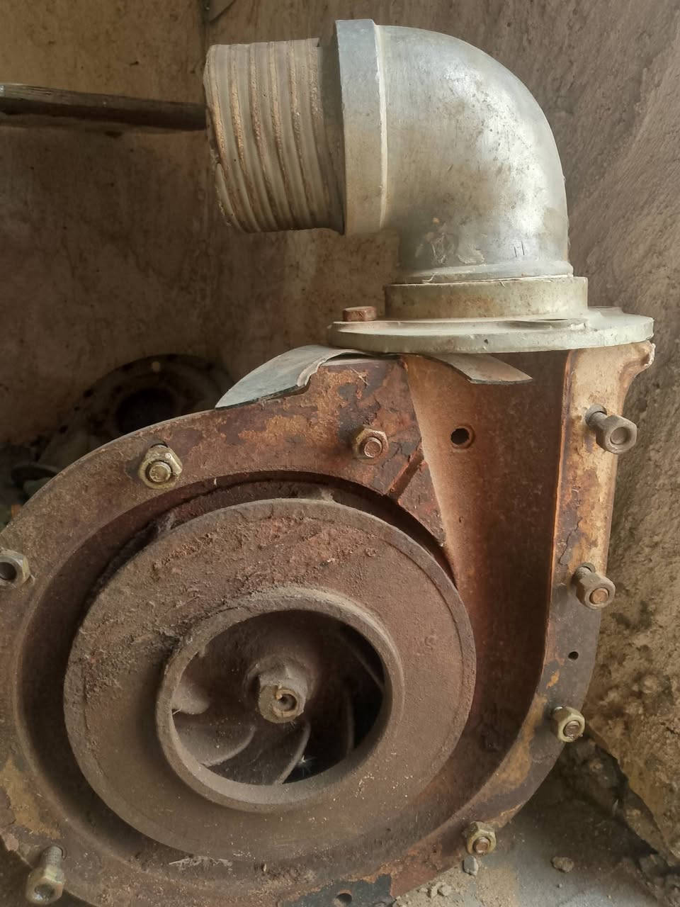 سلام عليكم خنزيره ضغط 4في5  مكان دوانيه شافعيه


**إذا كنت صاحب هذا الإعلان وتريد حذفه لأي سبب، رجاءا أرسل رسالة إلى الدعم الفني**