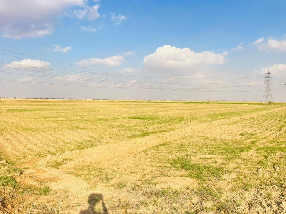 سلام عليكم قطعه ارض للبيع مساحة 30دونم 
مزروعه حنطه مثل ماموضح بل صوره 
مكان بغداد النهروان  سعر خاص 

رقم الهاتف ‭0780 898 2817‬
