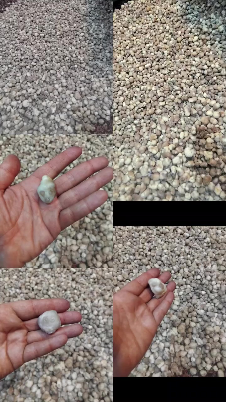 وصل السلطانى والعطف والزوعه 
احمد ستون 
https://www.tiktok.com/@ahmedston1?_r=1&_t=ZS-93wLHssXrmx


**إذا كنت صاحب هذا الإعلان وتريد حذفه لأي سبب، رجاءا أرسل رسالة إلى الدعم الفني**