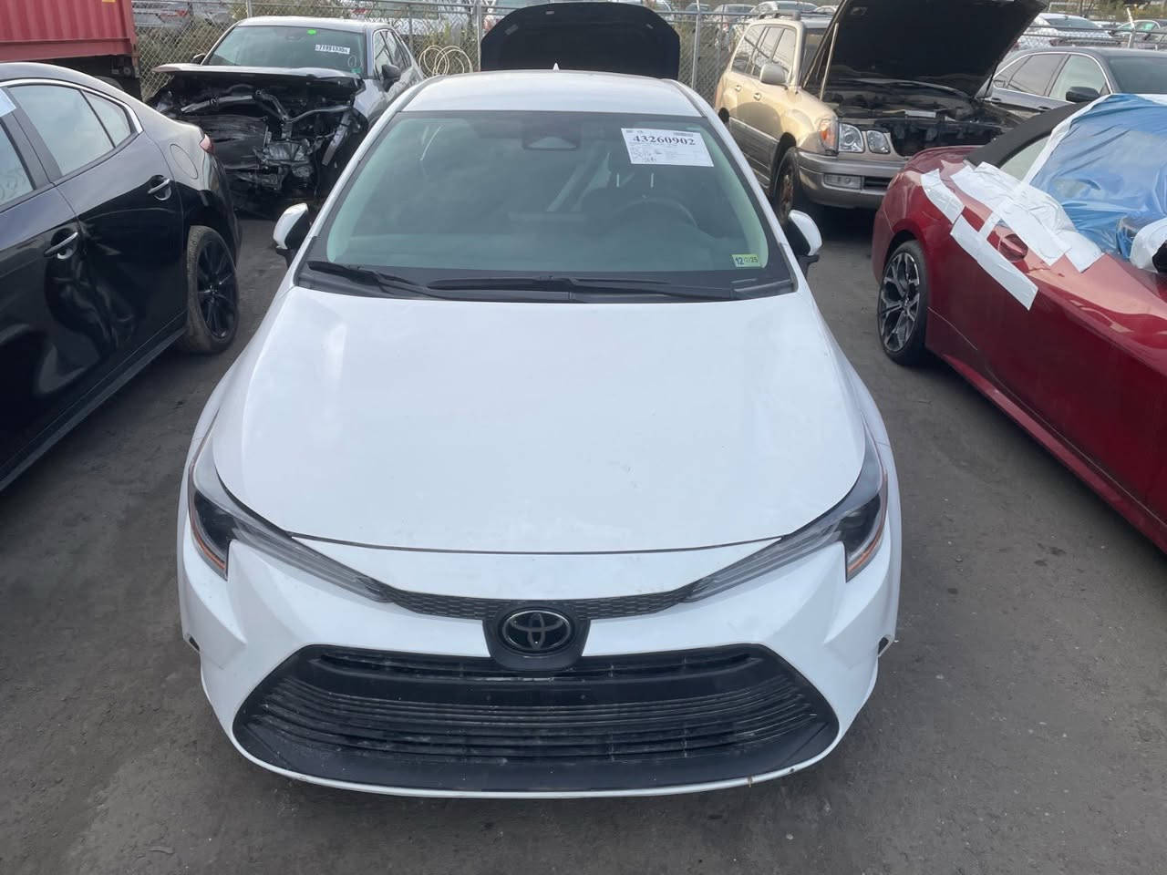 كورلا 2025 وارد امريكي بانزين فقط مكينه 2000 كفاله عامه من الزلغ ما عدا البارد المئشر عليه بالجنطه ماشيه 8 الف سياره بصمه سايد بريك دكمه رادار امامي او جانبي قياده اليه ترايش  بالبيبان ويل كب سياره كارتون كتاب فحص بيها كفاله عامه السياره بدون رقم بسمي تريد مرقم تريد بدون رقم *********** مكاني ناصريه للعلم غراضها الدعاميه ولاليتات اجن وياها اي تبديل مابيها
