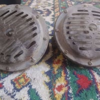 هورنات بوش • أصلي ألماني • بابل