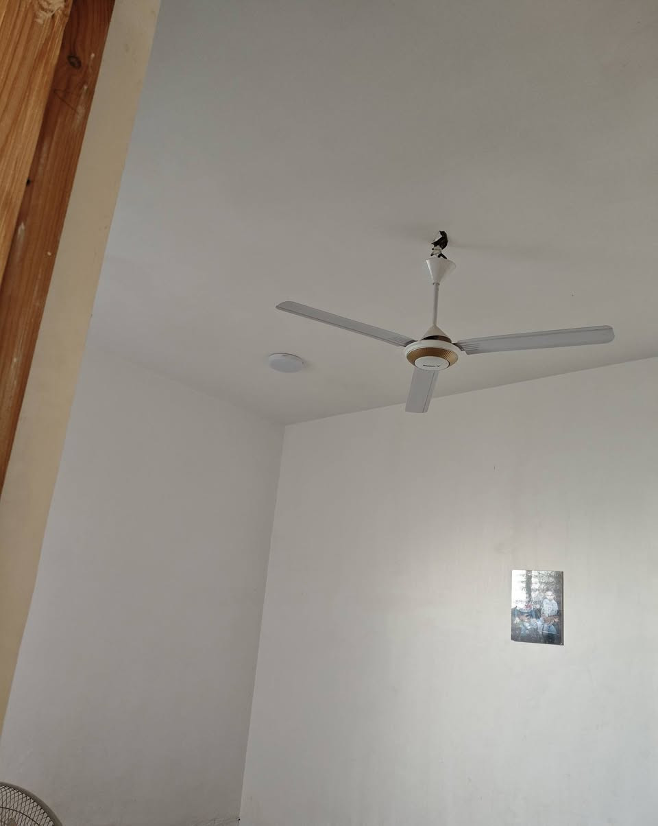 سلام عليكم بيع مستعجل بيت للبيع 100متر عرصات حجي هندي حولي الخصيمه خلف مولده نصير  واجهه 5في20 تبليط بالباب خدمات كامله مشمول بتطويب معامله كامله يم البلدية يحتوي على غرفه وصاله ومطبخ حار بارد واستقبال وصحيات بناء حديث طابوك سكف عكاده الارضيه كونكريت سطح شتايكر موشراي لاتعلق اعبر المنشور بيع مستعجل سعره 32وياه كيزر وماطور وتانكي ***********
