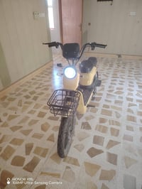 بايسكل شحن • موديل 25 • سويج/كارت