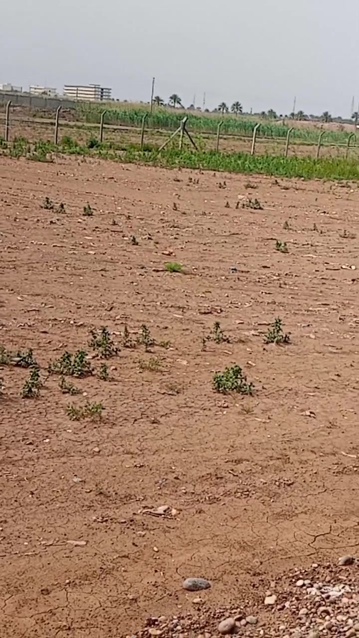 للبيع دوانم شمال بغداد ناحيه المشاهدة سند 25 للاستفسار الاتصال ***********///***********
