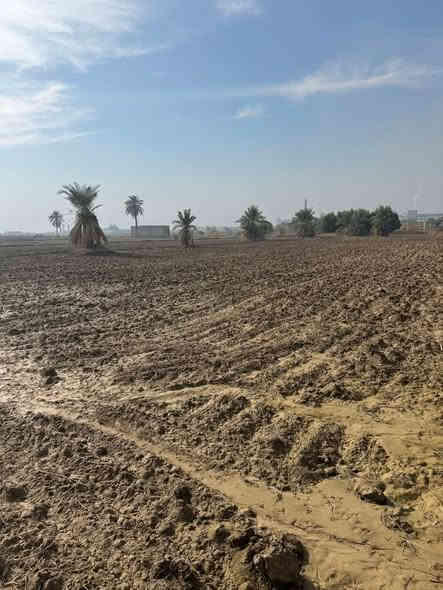 دونمين طابو زراعي سند 25 يم معمل الأسمنت الكوفه سعر الدونم الواحد 35 وبي مجال للاستفسار الاتصال على الرقام
***********
***********
