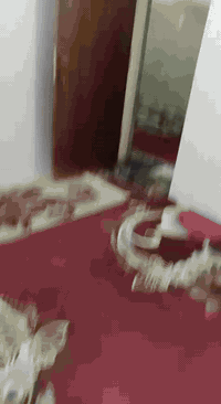 سلام عليكم  بيت للبيع  حي الحكيم قرب سيد جاسم مساعه 375 طابو صرف تصال ***********
