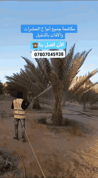 مكافحة حشرات • نخيل وحدائق • خدمة ٢٤/٧