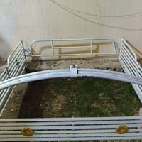 شبوط عقرب • محجل • الرمادي حي الضباط