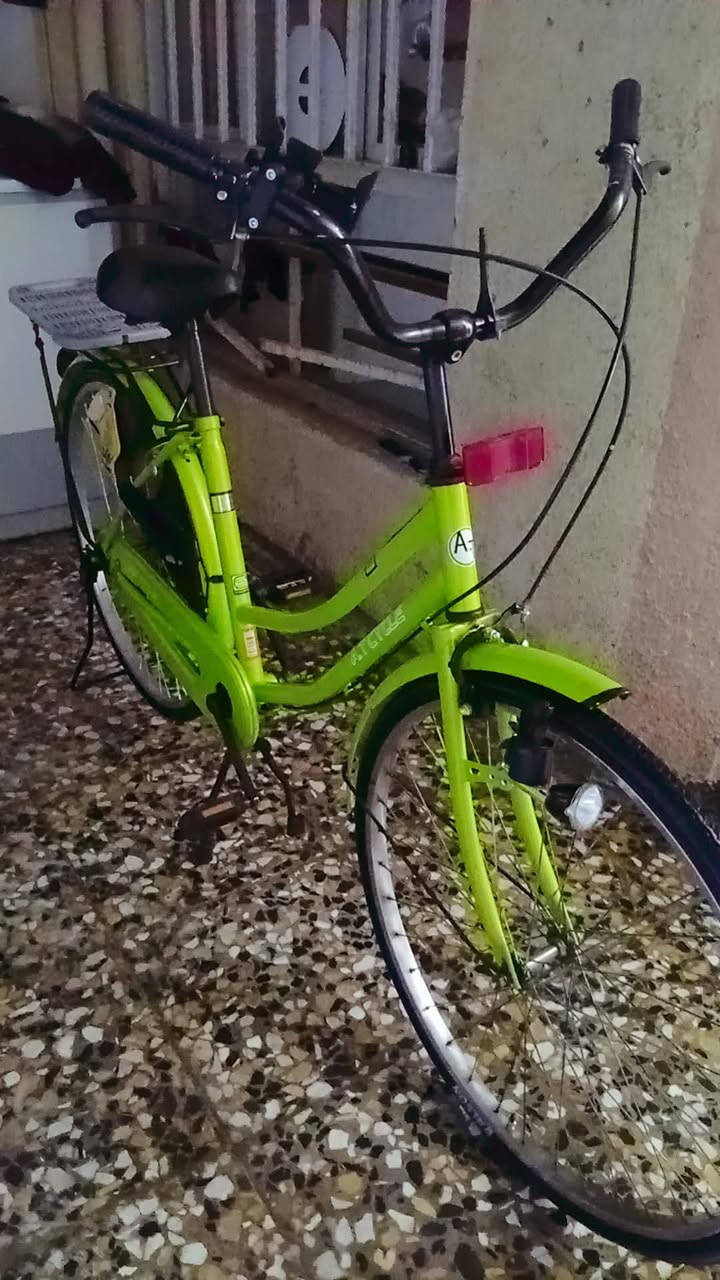 بيسكل بناتي 26 2024 سعر 100 بي مجال بسيط مكان بغداد الثعلبه


**إذا كنت صاحب هذا الإعلان وتريد حذفه لأي سبب، رجاءا أرسل رسالة إلى الدعم الفني**