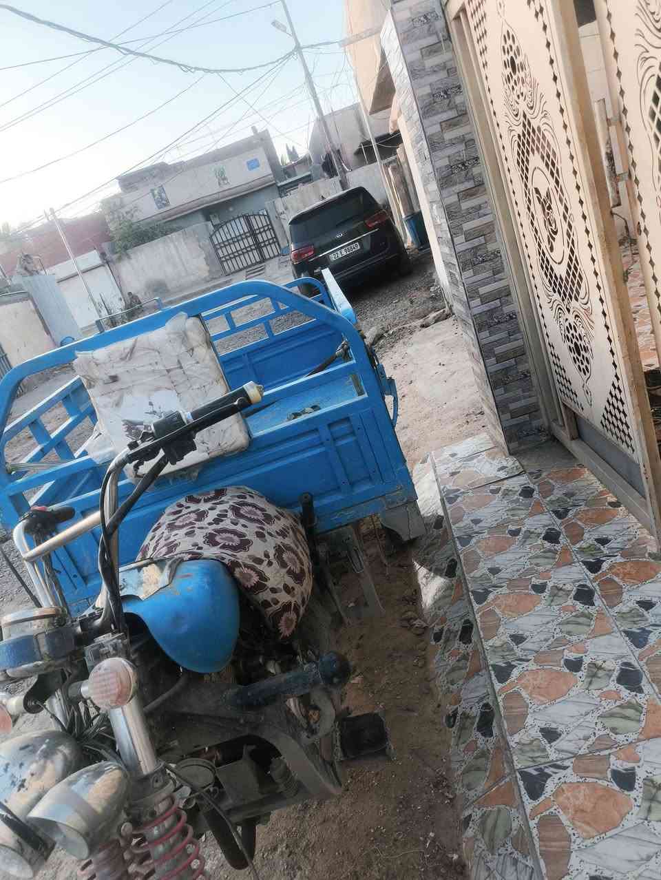 السلام عليكم جمره فحل بدي كلاب طابقين موديل 2019 اوراق شرط مكاتبه الستوته نضيفه بس هامله يرادله غزله محرك نشط كير ماي ضفيره جديده لا لحيم لا باج لا خياس لا بيه شمره بل مشي الستوته مالت واحد يطلع خبزته بيه مو مالت فيكه بس الشراي يتصل السعر مليون وميه وخسين وبيه مجال ***********
