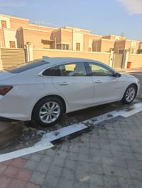 ماليبو • ٢٠٢٣ • رقم بصره