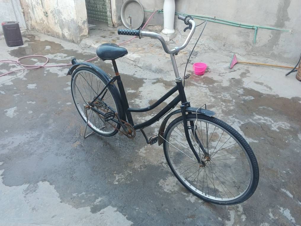 السلام عليكم بايسكل للبيع حجم 26 السعر 40 وبيه مجال العنوان بغداد حي النصر


**إذا كنت صاحب هذا الإعلان وتريد حذفه لأي سبب، رجاءا أرسل رسالة إلى الدعم الفني**