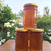 عسل القداح • صافي • مضمون