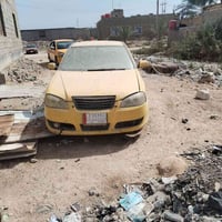 شيري كوين • ٢٠١٠ • جسر خالد