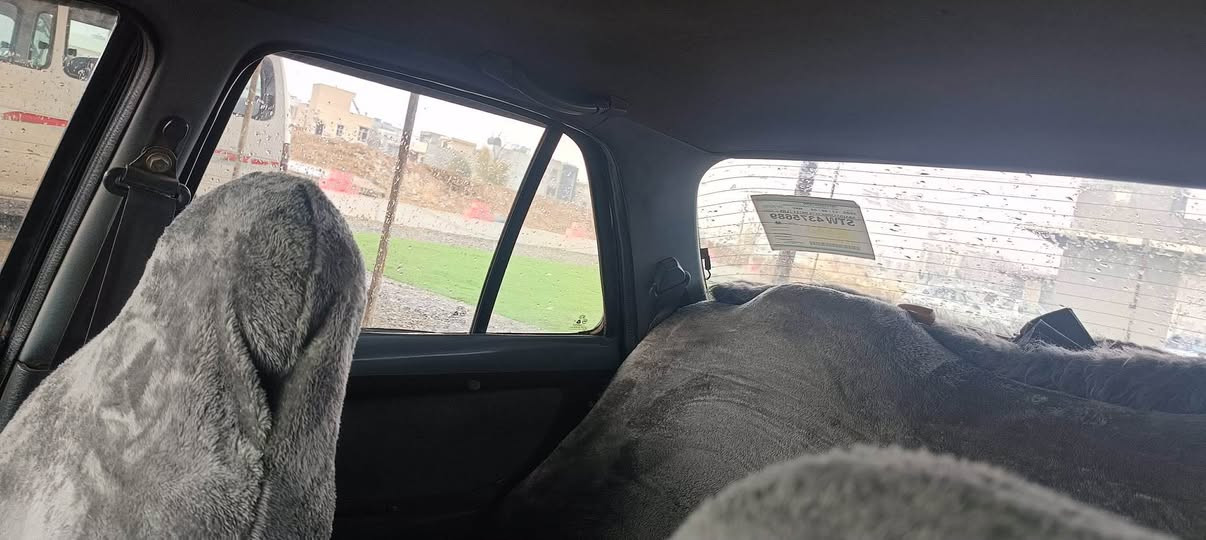 ئارمی پلاستیکی سلێمانی ۸ و بەخ ۲٦ گەڵا و معامەمە
سەیارەکە هی من نیە پەیوەندی بکەن بە ***********
0770 356 5625 السليمانية, العراق
