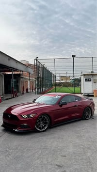 موستانغ V6 • ٢٠١٧ • رقم اربيل