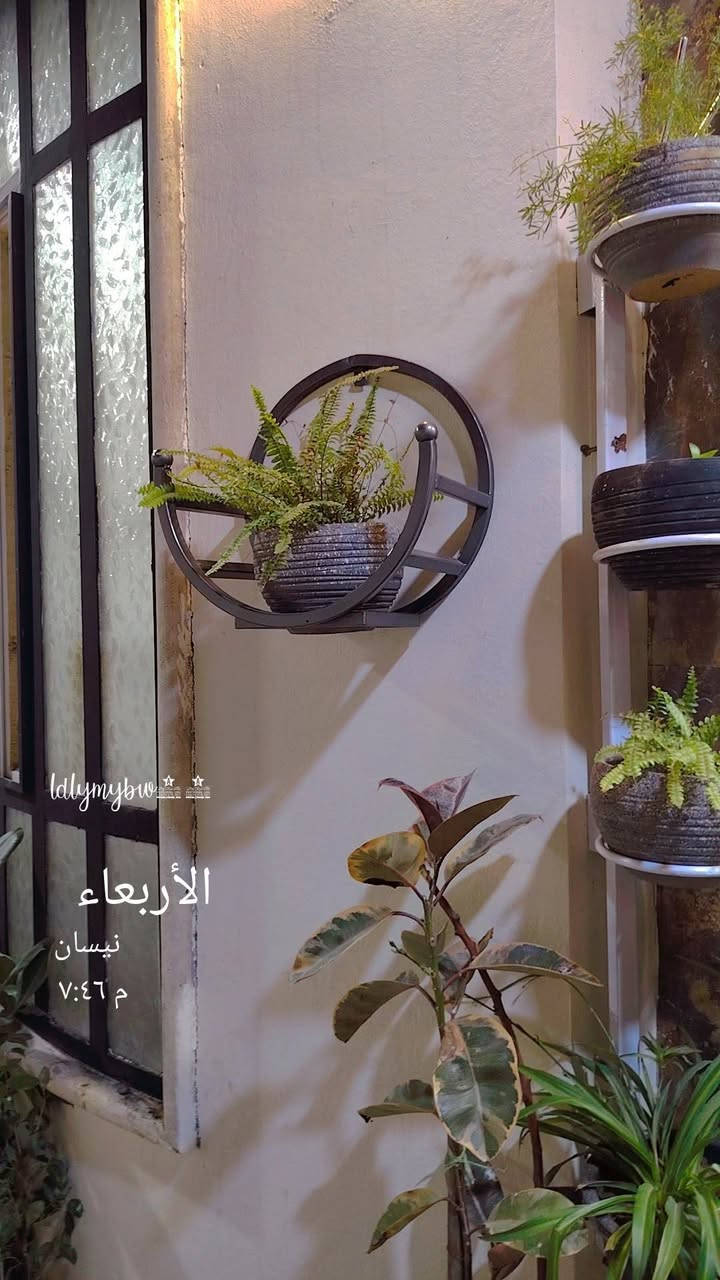 متوفر عمل سندين زرع


**إذا كنت صاحب هذا الإعلان وتريد حذفه لأي سبب، رجاءا أرسل رسالة إلى الدعم الفني**